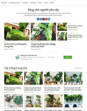 Mau-web-blog-cay-coi-300x381