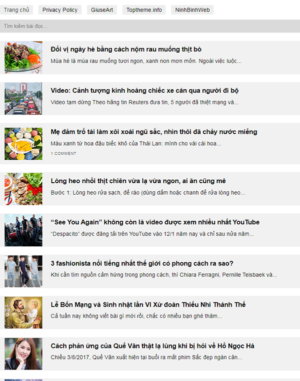 Mau-trang-web-blog-tin-tuc-300x381